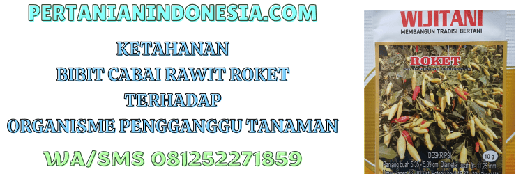 opt,organisme pengganggu tanaman,hama,penyakit,pertanian indonesia